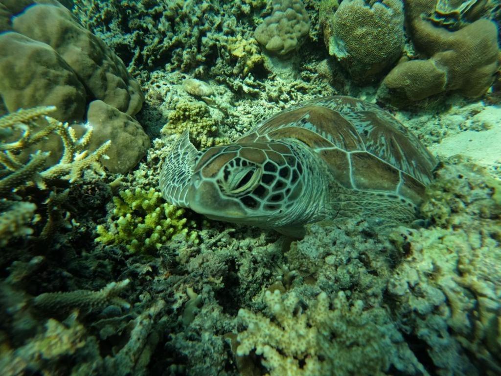 Gili Kulemba Bungalow Gili Trawangan Dış mekan fotoğraf