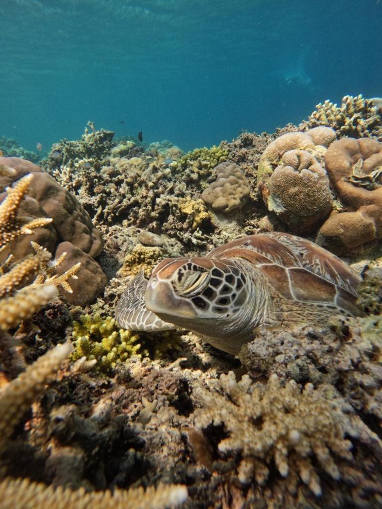 Gili Kulemba Bungalow Gili Trawangan Dış mekan fotoğraf